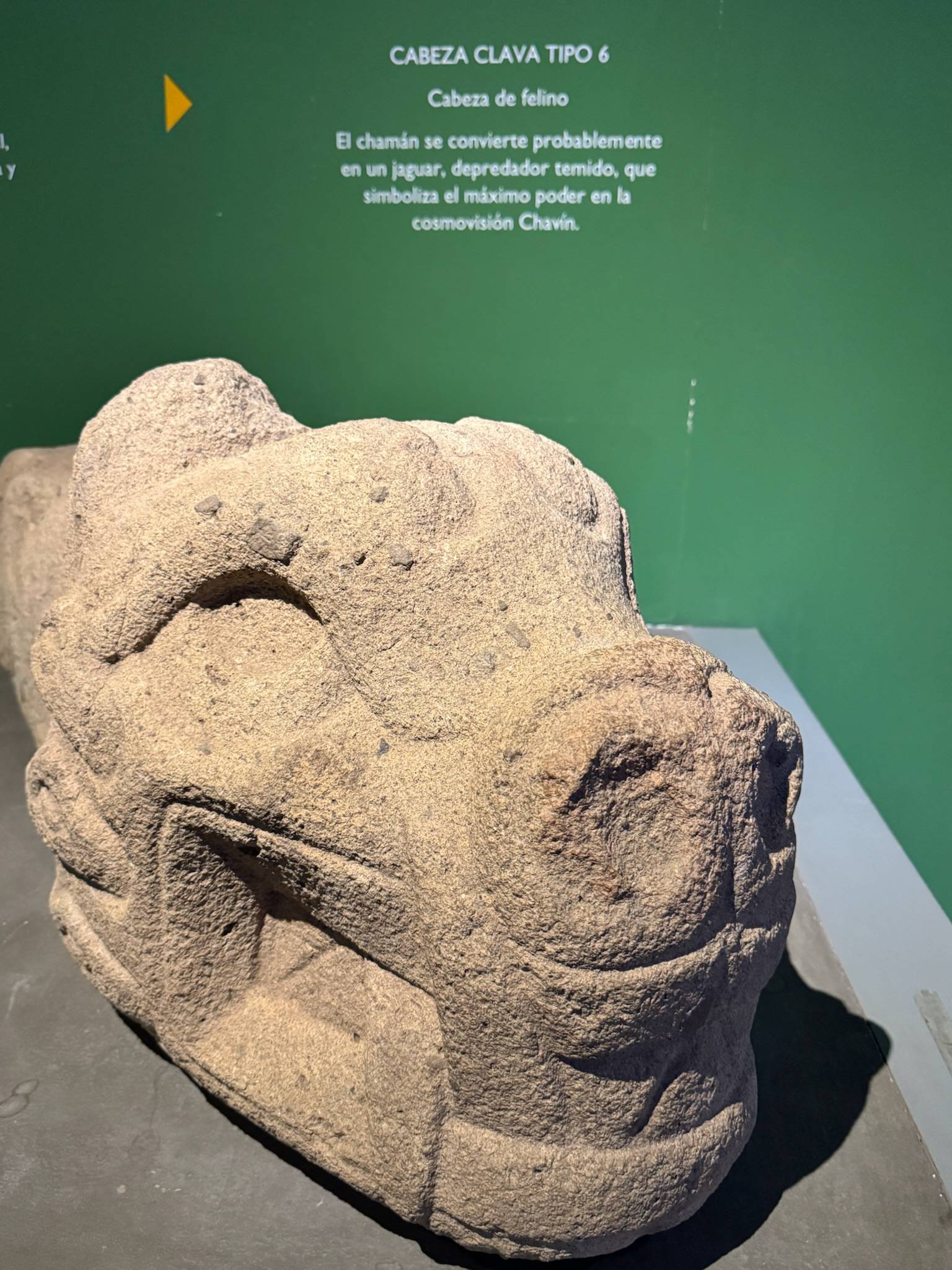 A carved stone head seen in profile at the archaeological museum at Chavín de Huántar, its features part human and part feline