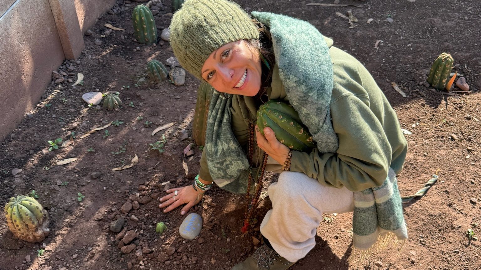 A person kneeling in the garden holding a cut Huachuma segment against their chest, planted cuttings around them
