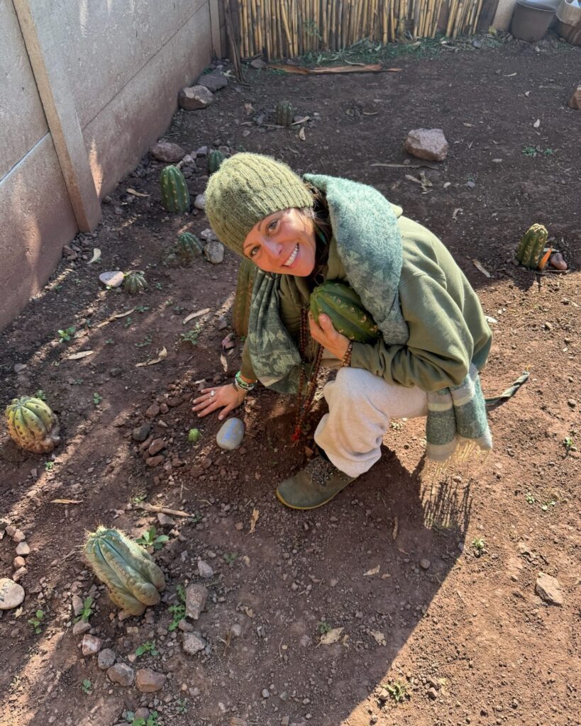 A person kneeling in the garden holding a cut Huachuma segment against their chest, planted cuttings around them