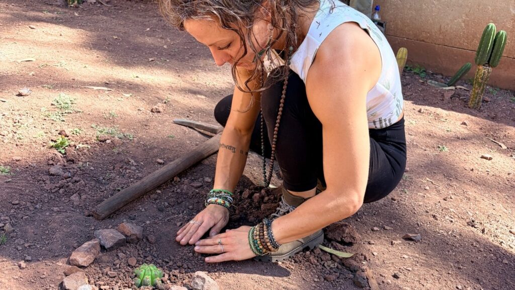 A person crouching to press soil around a small cactus set inside a ring of stones, a hoe lying on the ground beside them