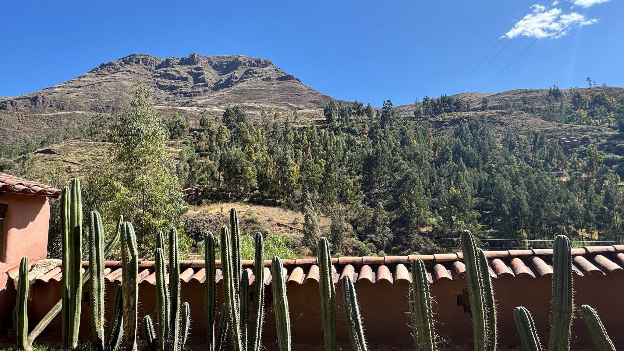 A row of Huachuma columns along a tiled adobe wall, looking across a wooded valley to a bare rock mountain