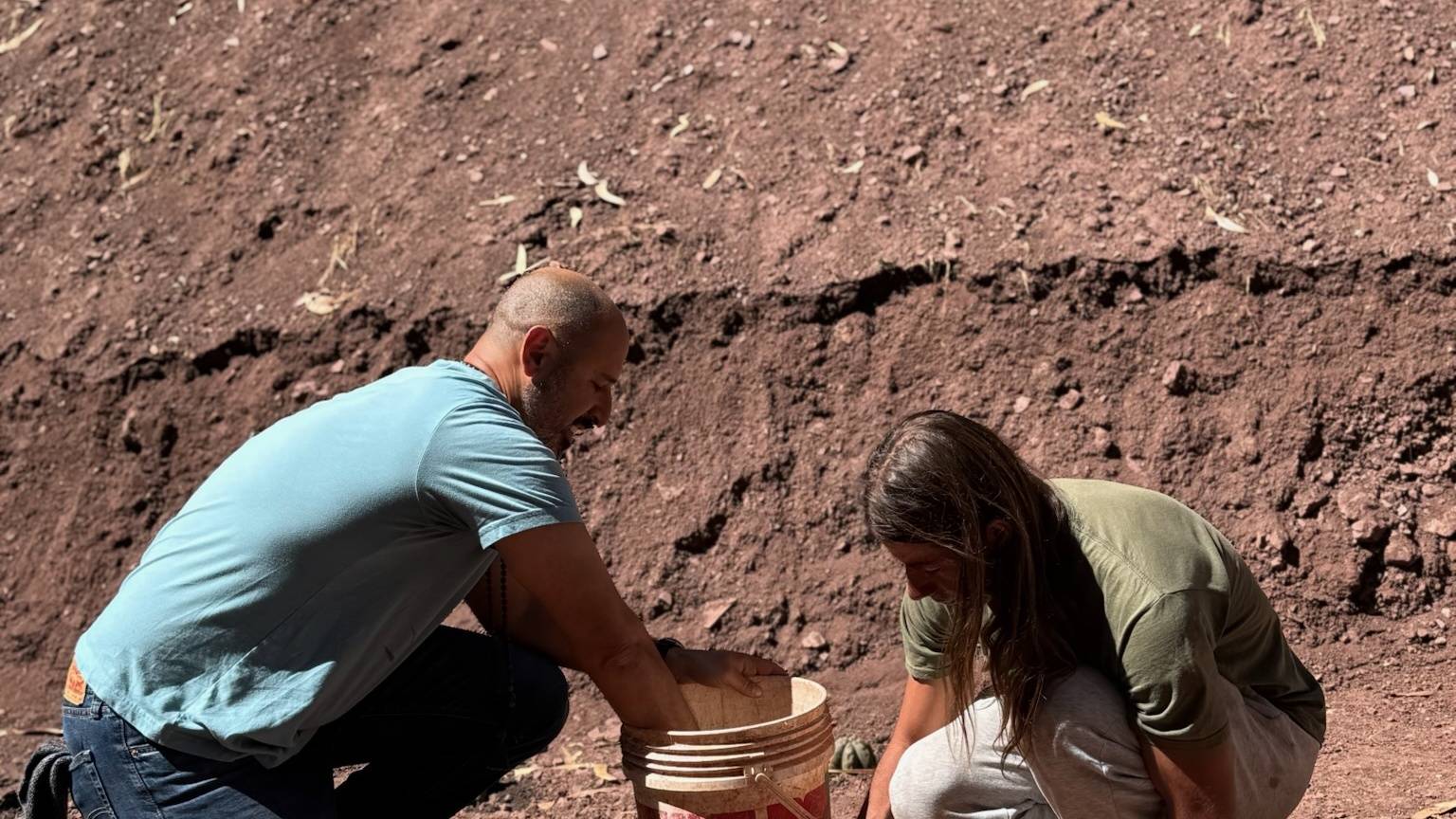 Two people kneeling either side of a bucket working a Huachuma cutting into the red earth, a cut terrace bank rising behind them